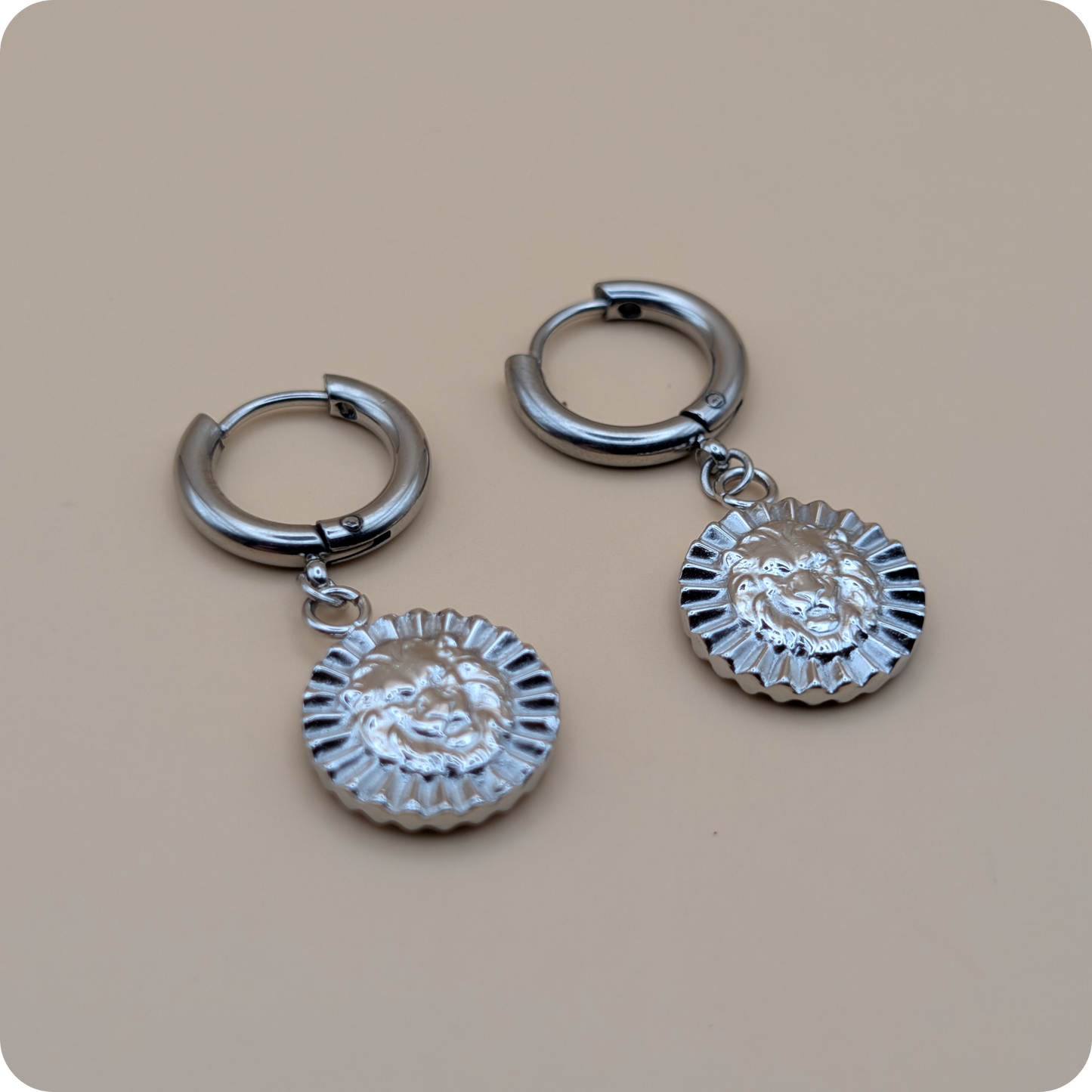 Silver plated charm earrings