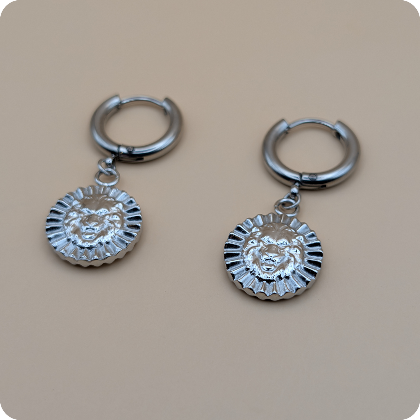 Silver plated charm earrings